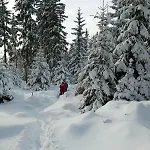 Sumavsky Rodinny Po Zadov 70m2 * Stachy