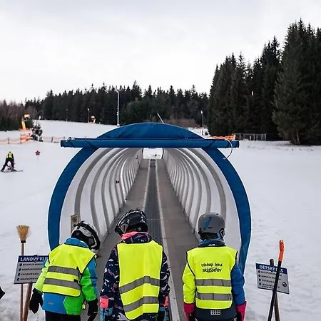Sumavsky Rodinny Pod Zadov 70m2 *