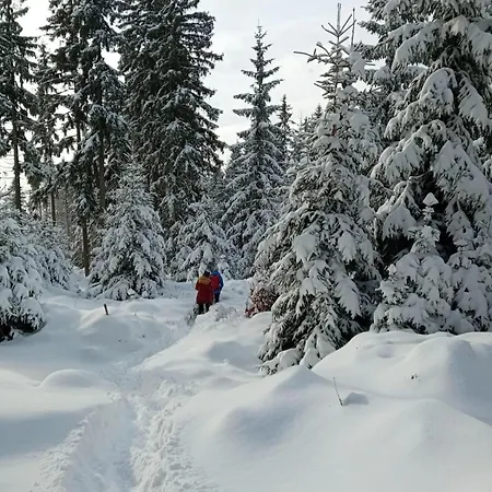 Sumavsky Rodinny Pod Zadov 70m2 * Stachy