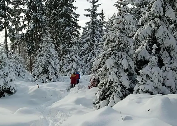 Sumavsky Rodinny Po Zadov 70m2 * Stachy